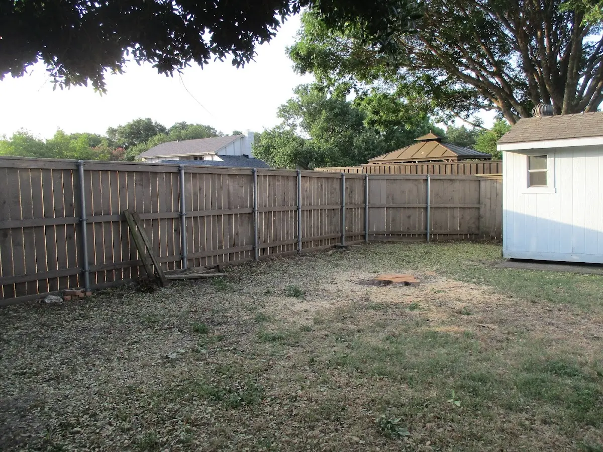 Cleared yard after professional tree removal in Paintsville